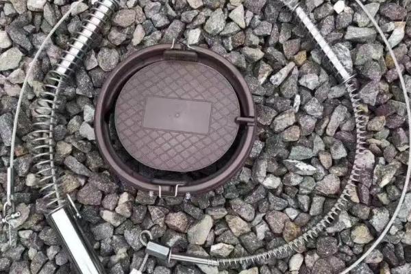 野猪的主路特点