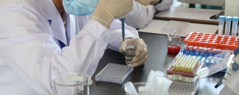鸡新城疫抗体检测步骤