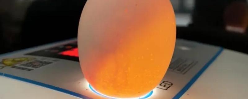孵小鸡几天照蛋最合适