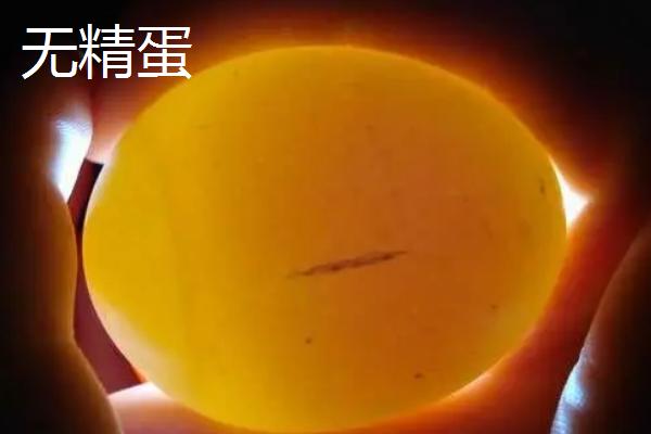 鸡蛋孵化多少天才适合照蛋
