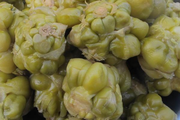 榨菜是什么菜做的