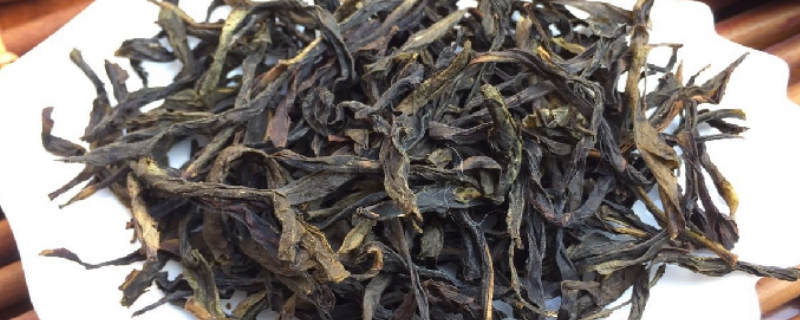 单枞属于什么茶