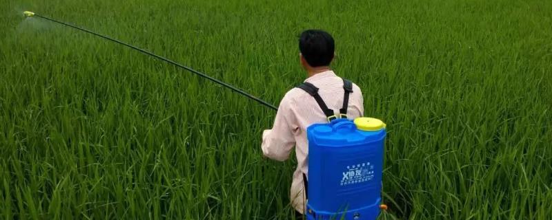 毒死蜱的作用和功效
