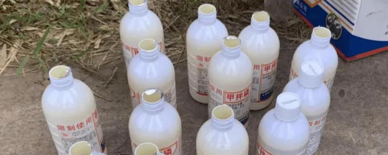 甲拌磷主治什么害虫