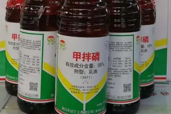 甲拌磷主治什么害虫