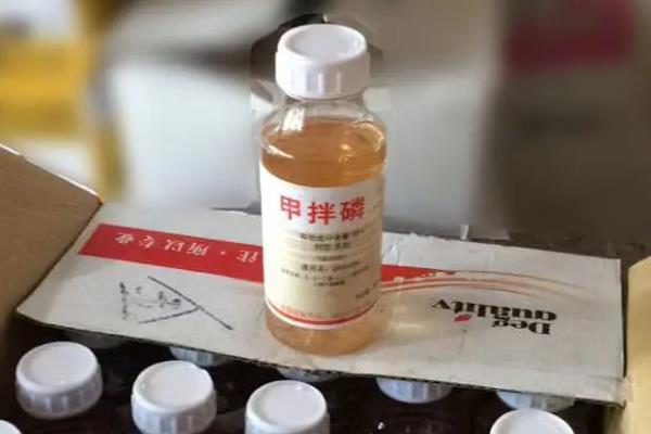 甲拌磷主治什么害虫