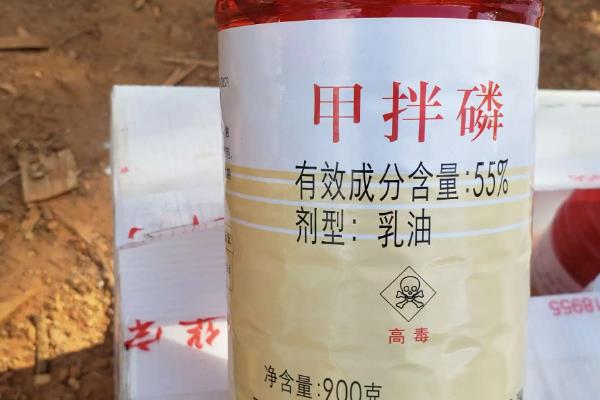 甲拌磷主治什么害虫