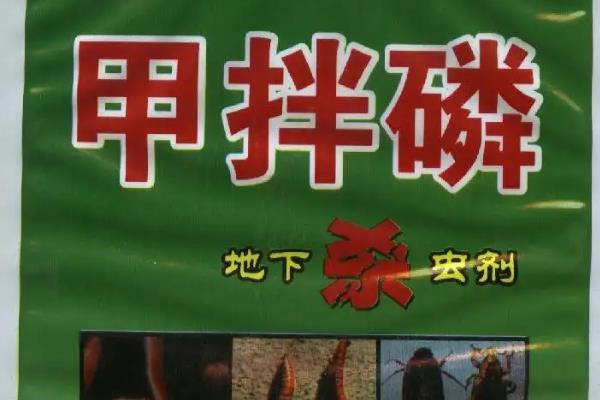 甲拌磷主治什么害虫