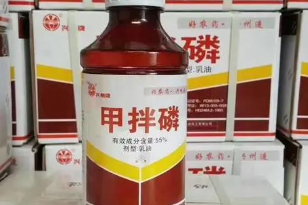 甲拌磷的毒性有多久