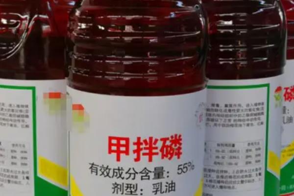 甲拌磷的毒性有多久