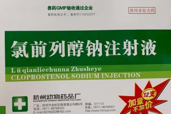氯前列醇钠对母猪的作用与用法