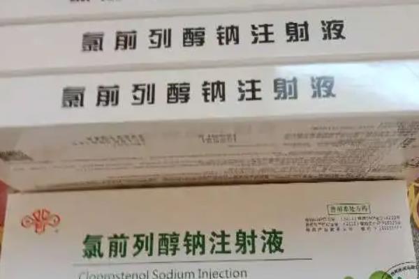 氯前列醇钠对母猪的作用与用法