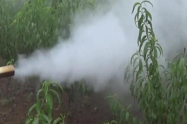 氧化乐果的作用和功效