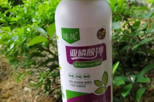 亚磷酸钾控旺用量是多少