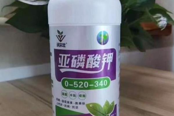 亚磷酸钾控旺效果咋样