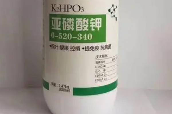 亚磷酸钾能替代磷酸二氢钾吗