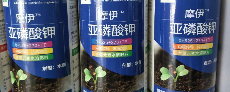 亚磷酸钾和磷酸二氢钾的区别