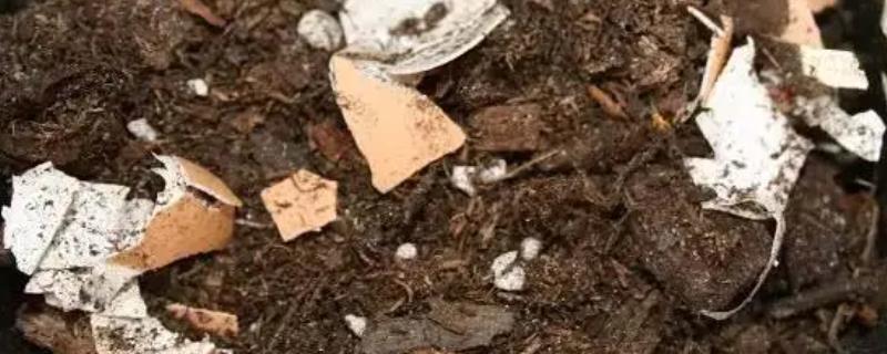鸡蛋壳是什么肥料