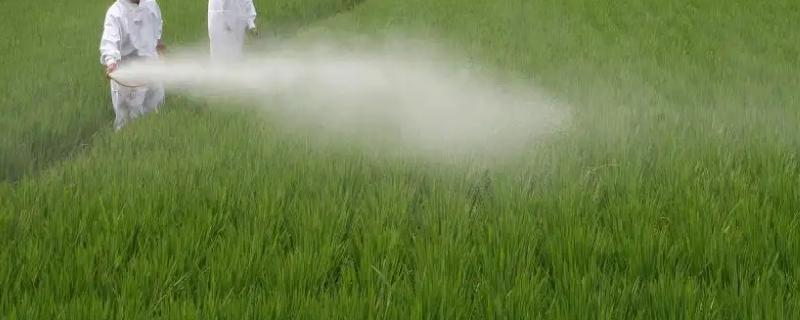 硼肥和磷酸二氢钾可以混用吗