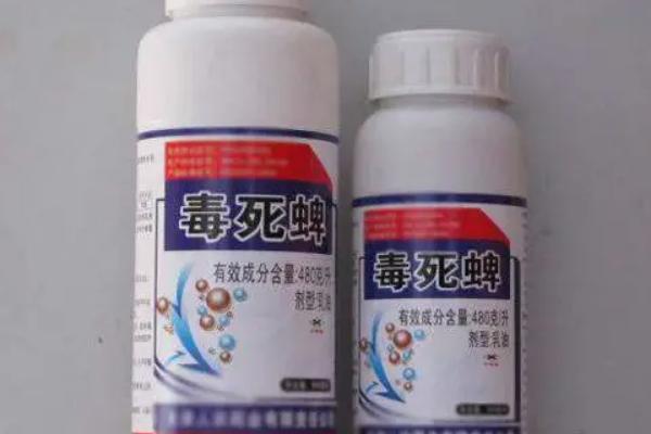 毒死蜱农药残留多少天
