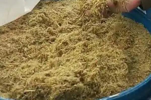 青贮饲料的制作方法与技术要点