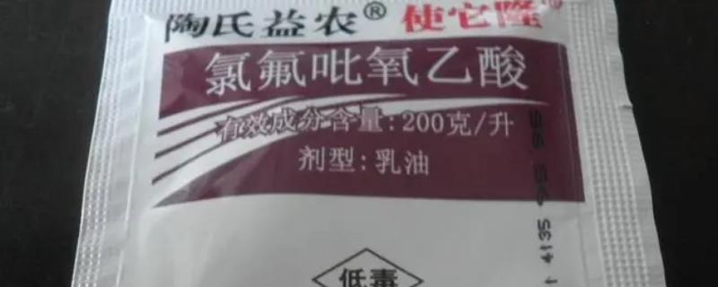 氯氟吡氧乙酸除草剂除什么草