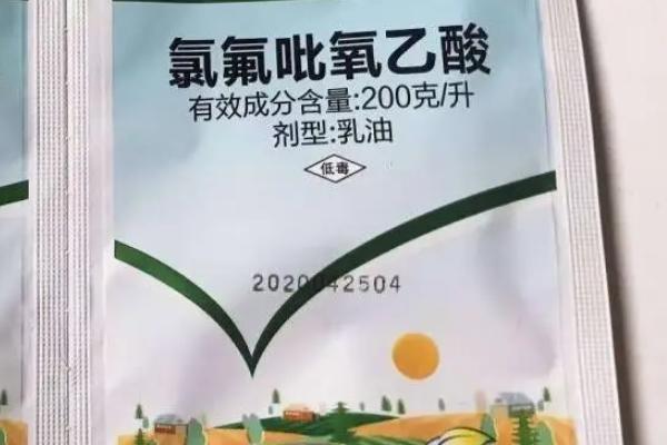 氯氟吡氧乙酸除草剂的防治对象