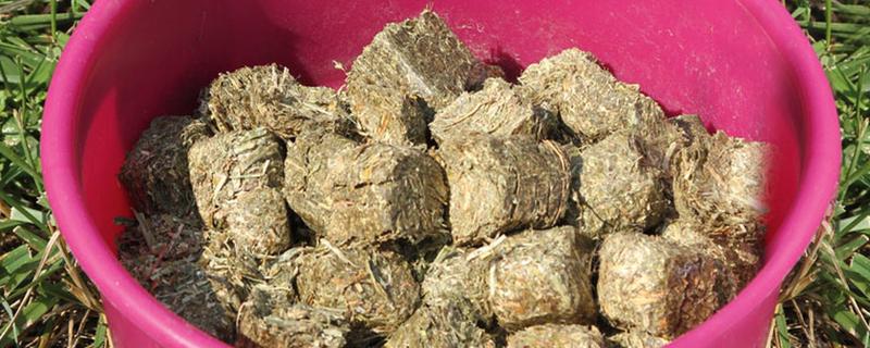 自制饲料怎么弄成颗粒