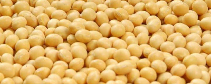大豆用什么农药拌种