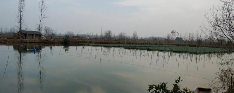 养黄鳝泥鳅的池塘怎么建