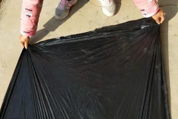 二月份能不能种玉米
