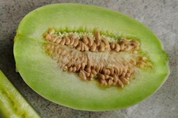 甜瓜种植与管理方法