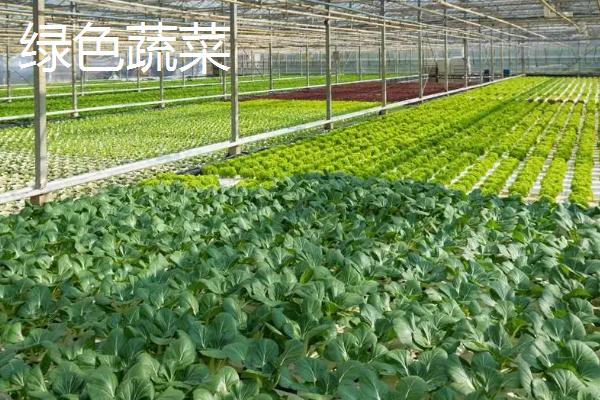 无公害蔬菜如何种植