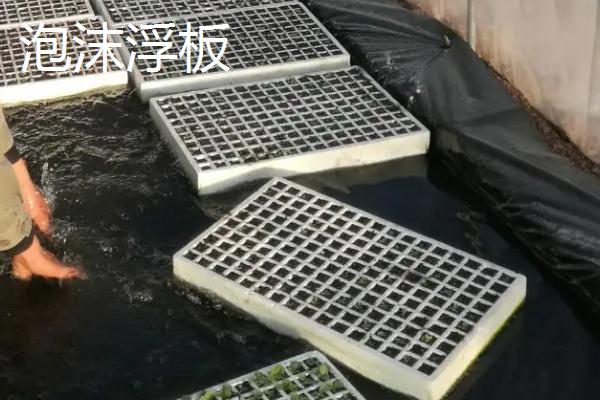 无土栽培应用推广分析