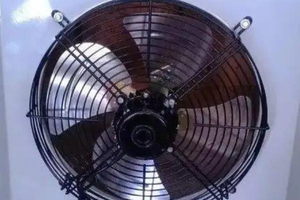 雏鸡如何区分公母
