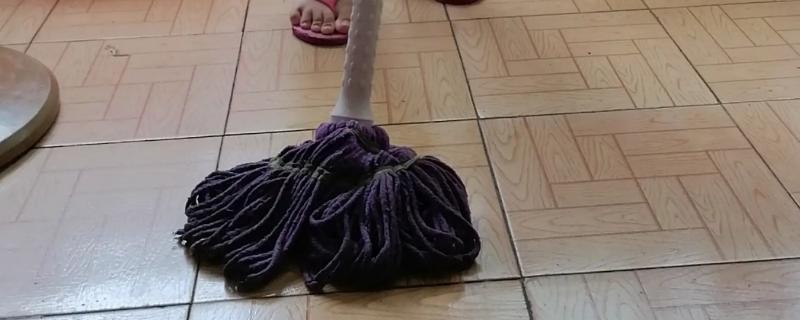 家里有鸡虱子怎么去除