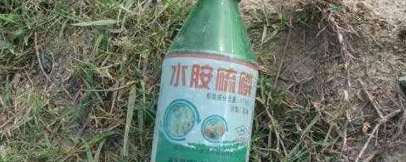 水胺硫磷为什么要禁用