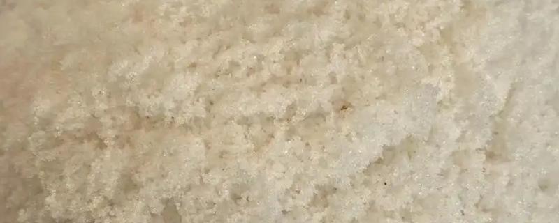 甜菜碱在钓鱼饵料中怎样使用