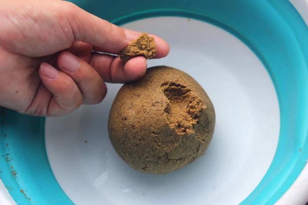 下黄鳝笼是否需要活蚯蚓