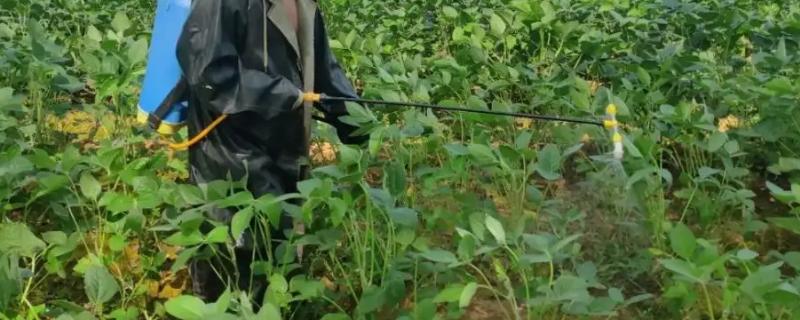 大豆除草剂有哪些品种