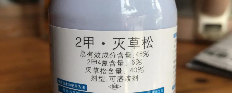 二甲灭草松对水稻药害