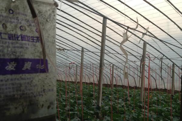 温室中使用的气体肥料
