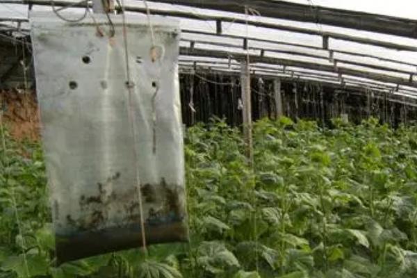 温室中使用的气体肥料