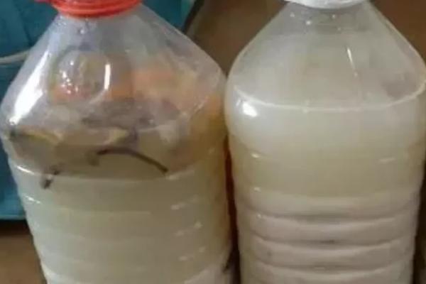 蔬菜肥料自制方法