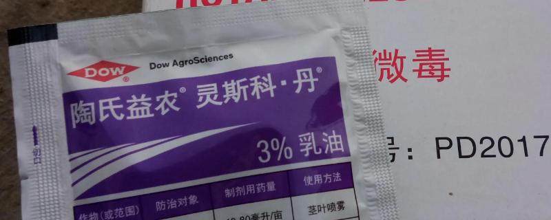 灵斯科丹影响水稻分蘖吗