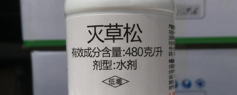 灭草松对水稻分蘖有影响吗