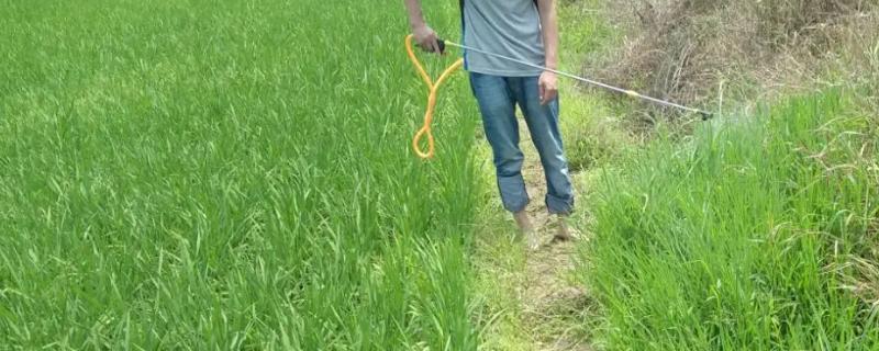 水稻田埂除草最佳配方