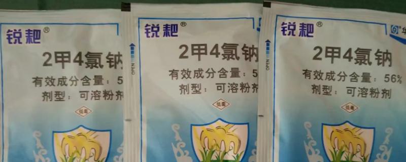水稻喷施二甲四氯钠抗倒伏吗
