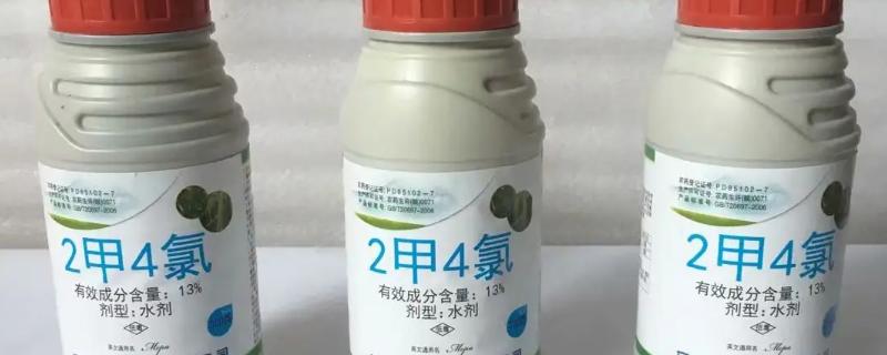 水稻孕穗期能打二甲四氯吗