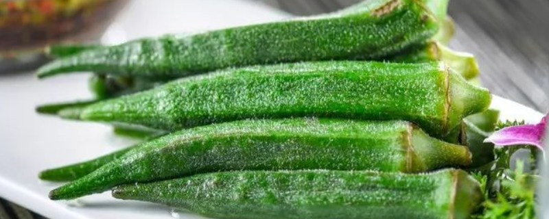 秋季有哪些时令蔬菜